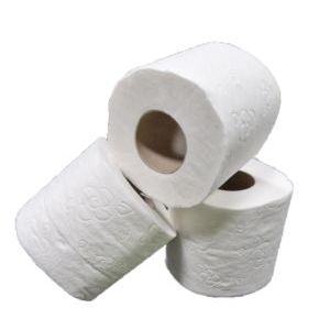 foto toiletpapier